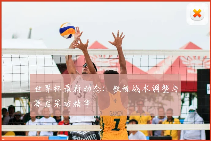 世界杯最新动态：教练战术调整与赛后采访精华